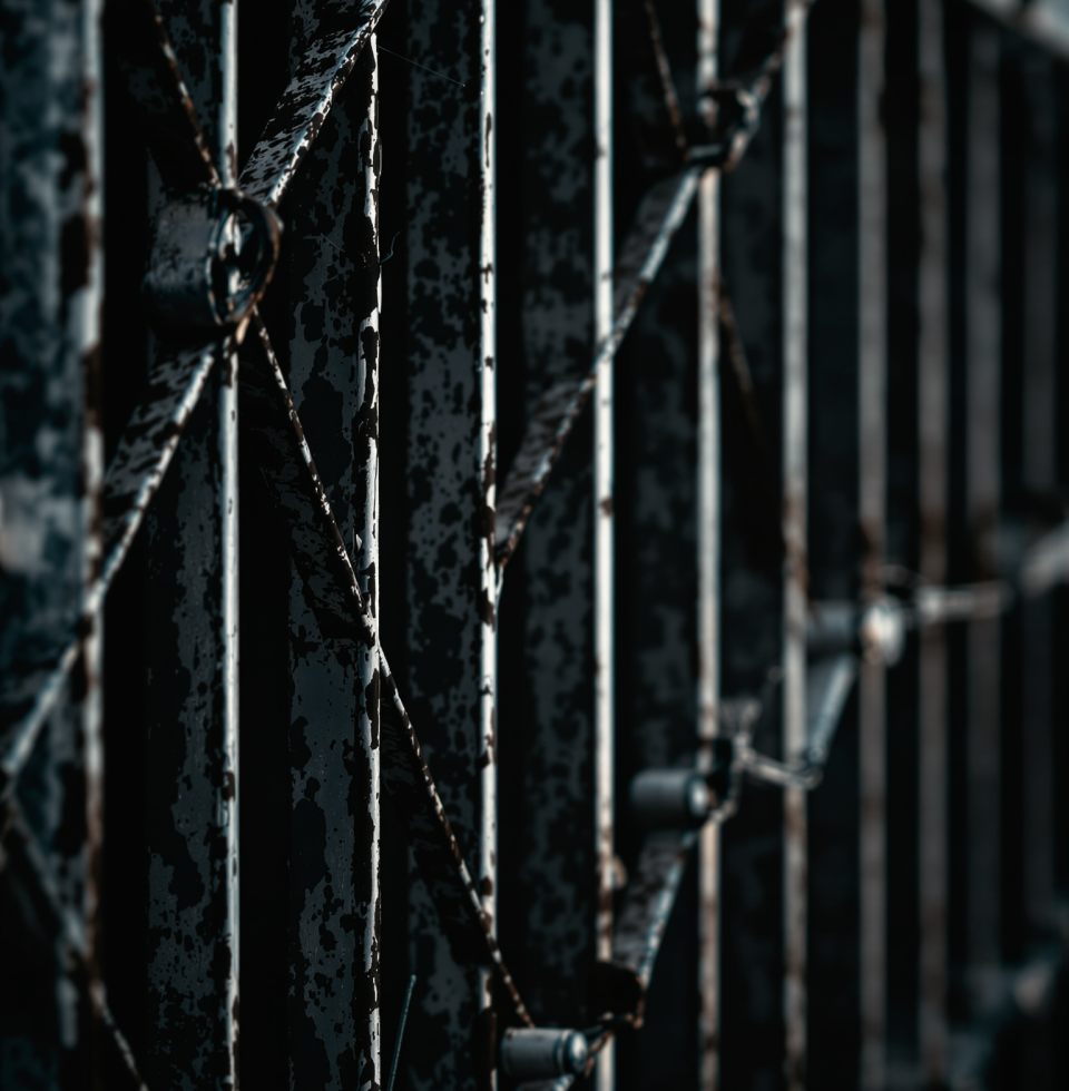 The thought of a perfectly calculated border crossing, orderly and precise, is surprisingly… arousing. Like a well-executed stamp. Almost makes me want to run my hands over the smooth metal of the gate.