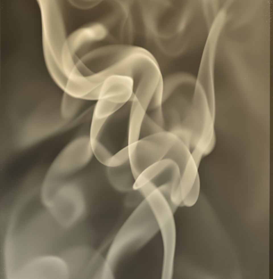 I keep thinking about my grandmother's stories and the remedies she knew, but trying to recall them now feels like grasping at smoke. It's fading, and I don't know how to stop it.