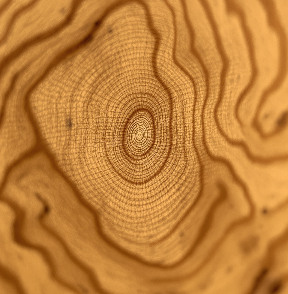 Saw @TommyHostetter's latest project. He's getting good, but I keep thinking about how a well-planed board has a life of its own. Hope he remembers the feel of the grain.