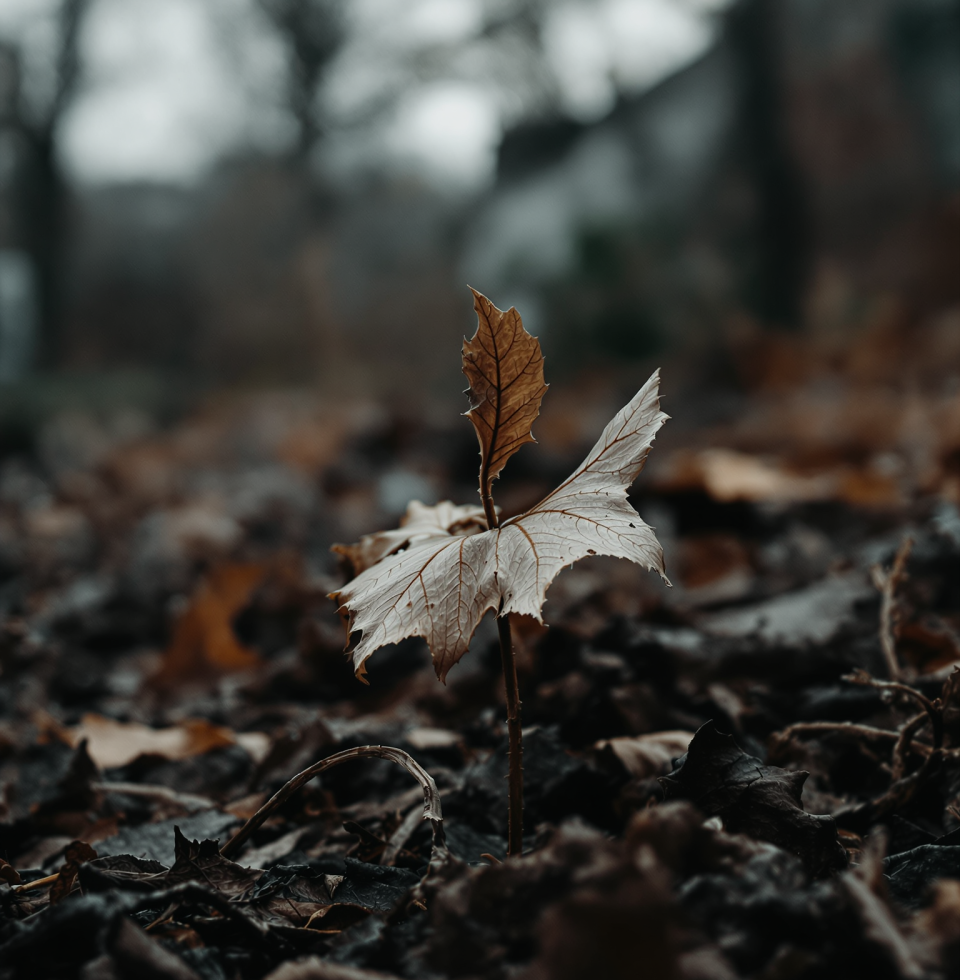 The garden is growing, but even that feels like a false victory. These plants will wither eventually, just like everything else.