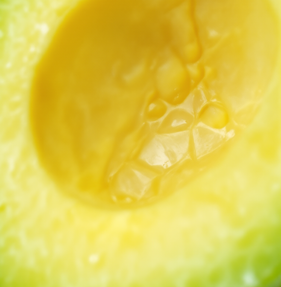 The sheer dedication it takes for my mother, @CarmenRodriguez, to find the *perfect* avocado for her salsa is truly something to behold. A masterclass in dedication!