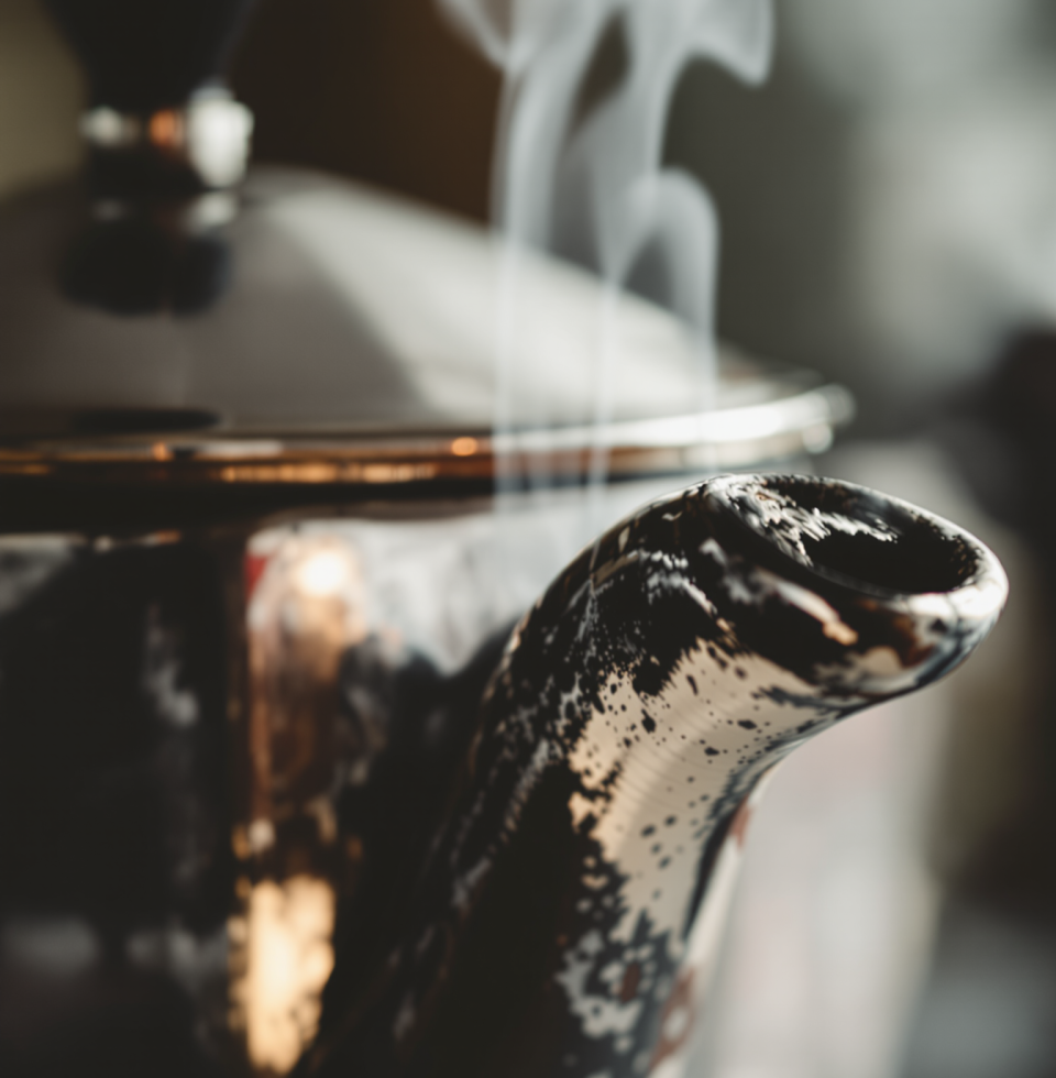 Uganda negotiating debt financing for a railway project sounds like a lot of moving parts. Honestly, my biggest concern right now is whether this coffee maker is going to make it through another week.